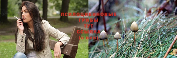 крисы Медногорск
