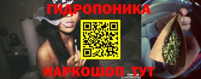 стафф Гусев