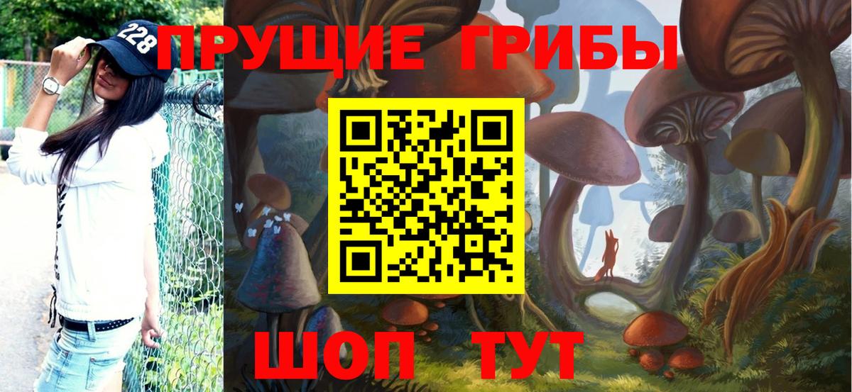 Медногорск  Псилоцибиновые грибы мухоморы  Вход с VPN 